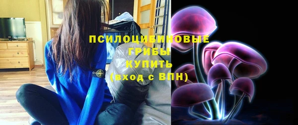 прущий лед Осинники