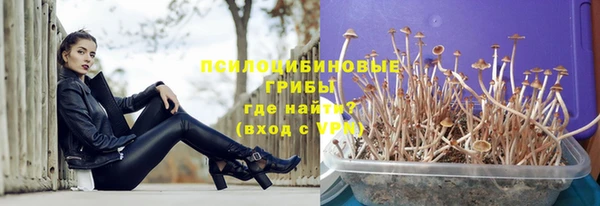 2c-b Алзамай